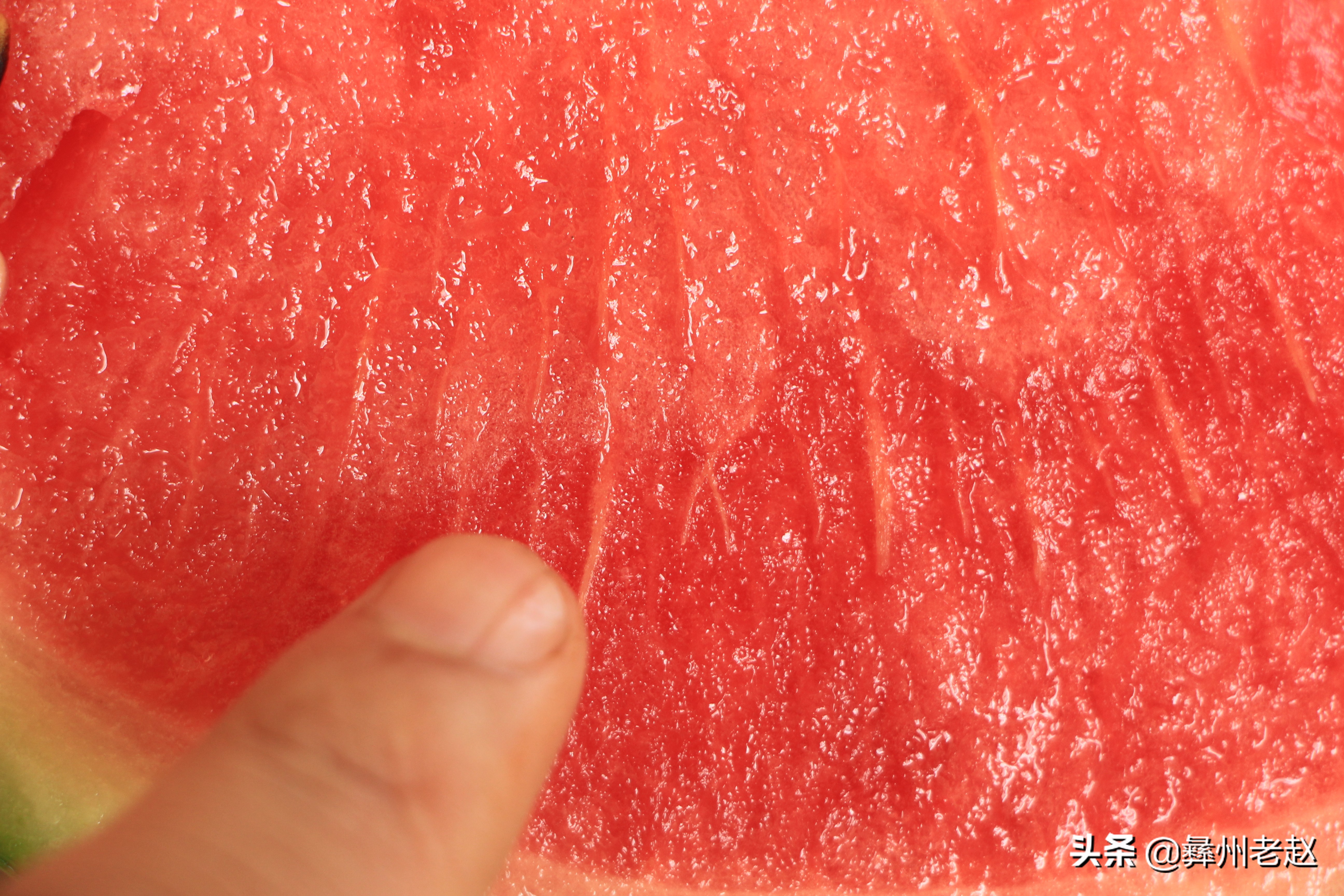 西瓜滞销的解决方法,西瓜卖不出去了怎么办