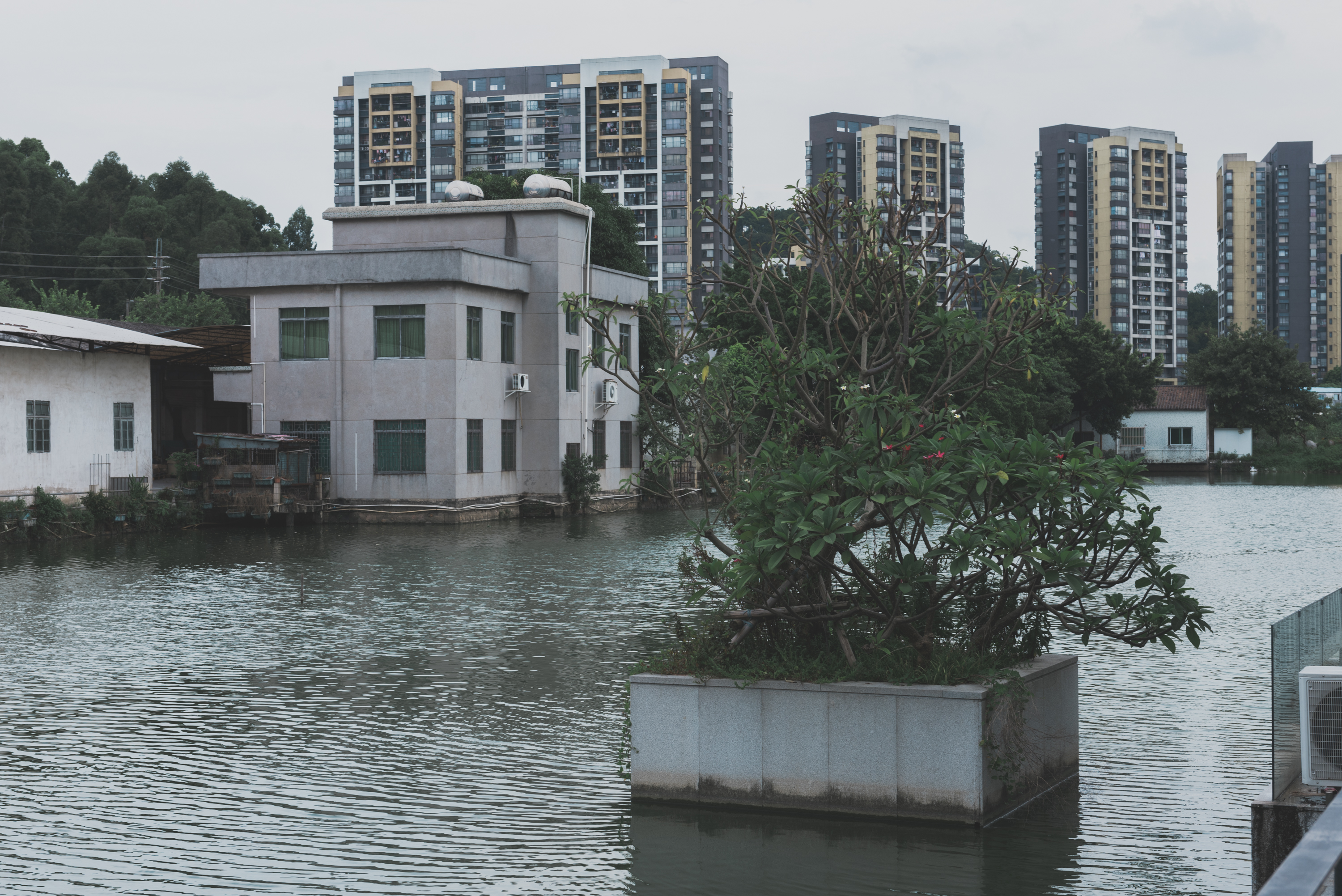 寻找桂林最美民宿,佛山高性价比的小众民宿