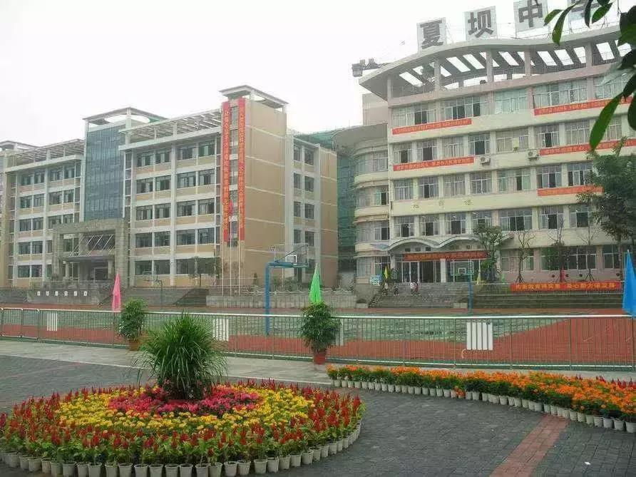 重庆渝中50中,重庆市50中初中学校是重点吗