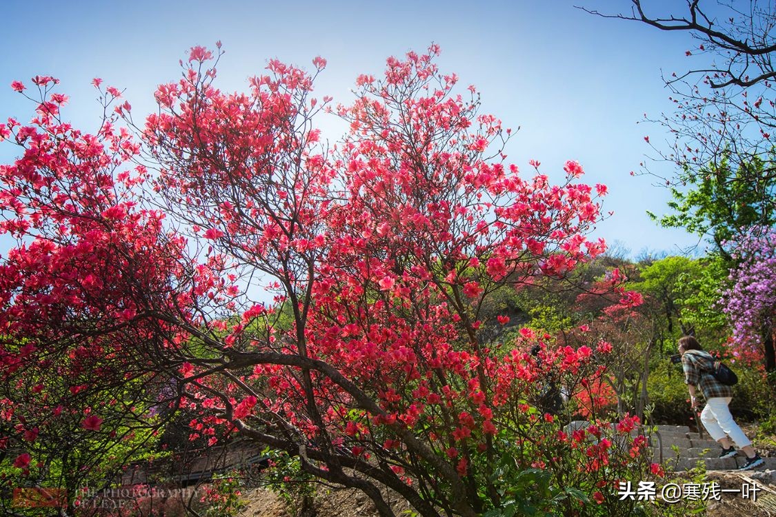 五一杭州旅游住宿最佳方案,五一旅游杭州出发3天最佳去处