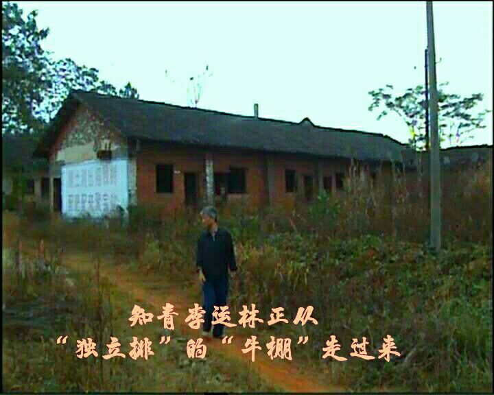 知青情结图片素材,60年代的知青情结