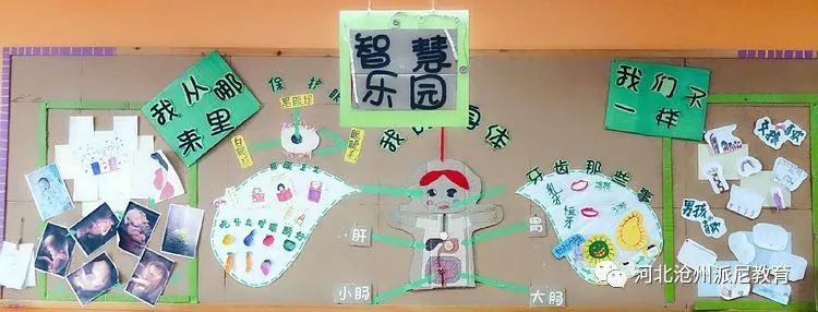 身体大揭秘动画,身体大揭秘