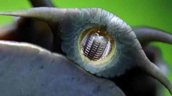 11个奇怪的冷知识,都让你怀疑它们是不是真的