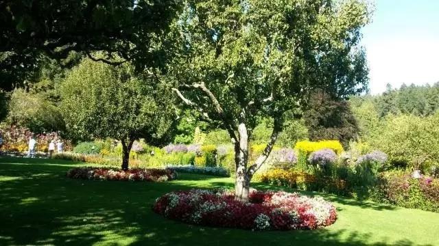 矿坑改造最美公园,矿坑改造湿地公园视频