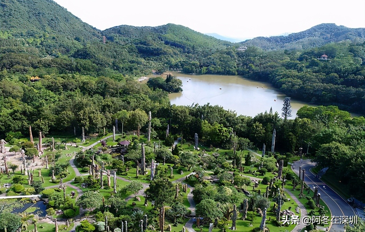 深圳一日游必去的十个免费景点,深圳一日游必去十大网红景点