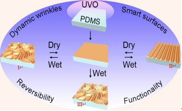 动力满满！交大这些科技硬实力，快来看！