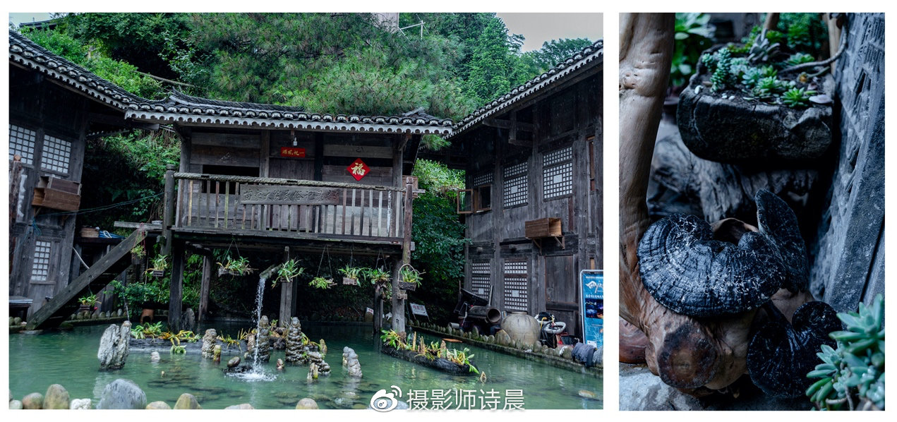 玩转南宁攻略大全,玩转广州佛山攻略