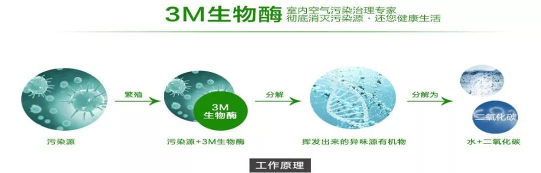 装修常识:幼儿园装修有异味?!这些方法教你轻松祛除......