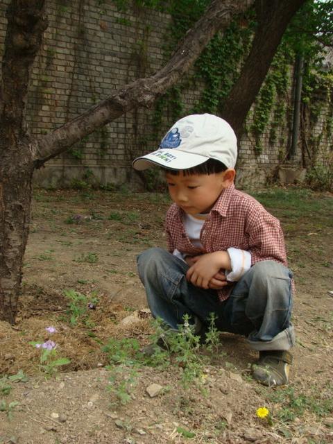 生活的智慧完整版,生活的智慧简短感悟