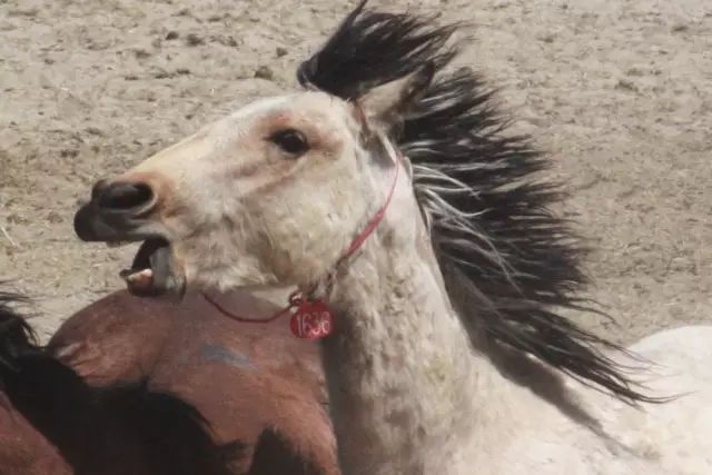 手机里的图片模糊不清怎么弄清晰,发朋友圈图片模糊变清晰处理方法