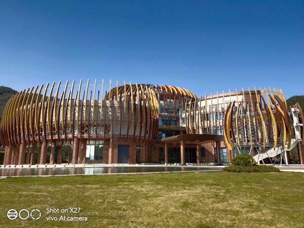 vivox27手机怎么样好用吗,vivox27和vivox60哪个好