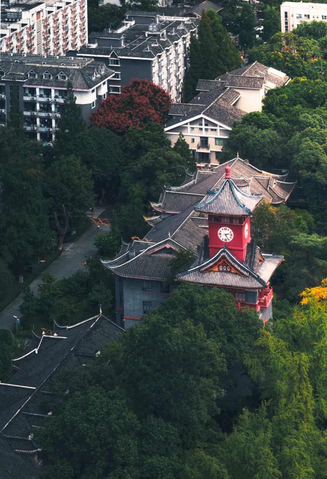 大片来袭震撼人心,成渝双城记全景图