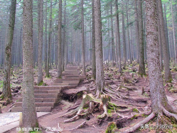 宁武芦芽山悬崖栈道,太原出发芦芽山马仑草原自驾路线