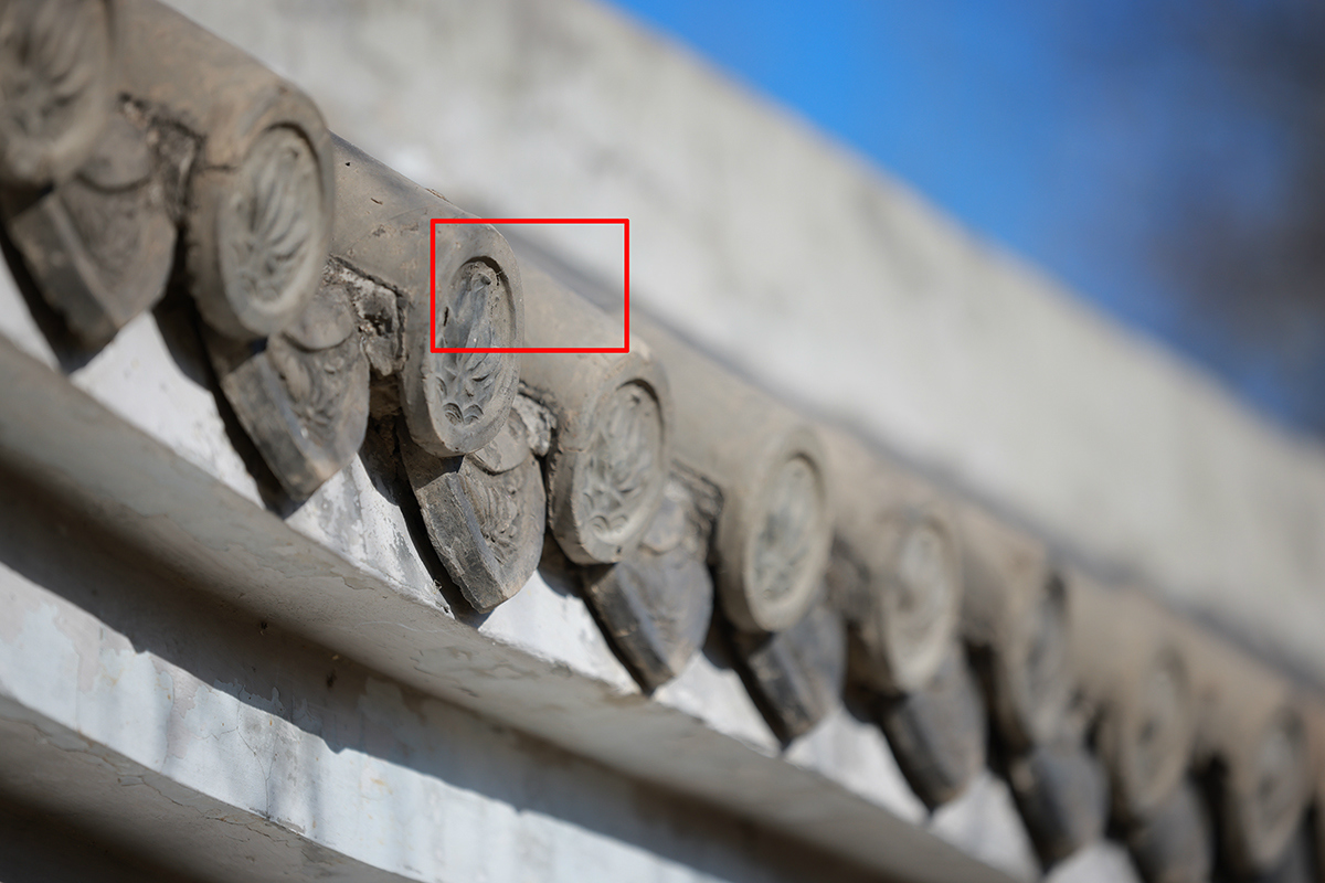 史上最轻便长焦利器佳能RF70-200mmF4L镜头评测