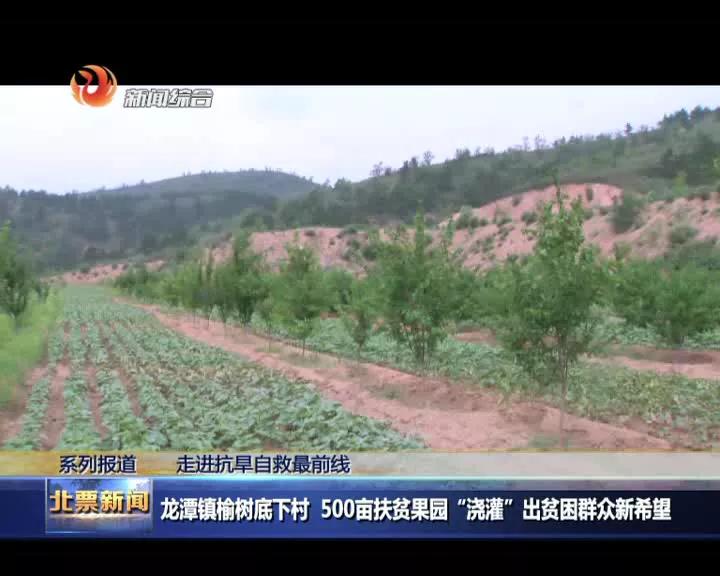 北票农业扶贫产业园,辽宁省北票市龙潭乡榆树底村电话