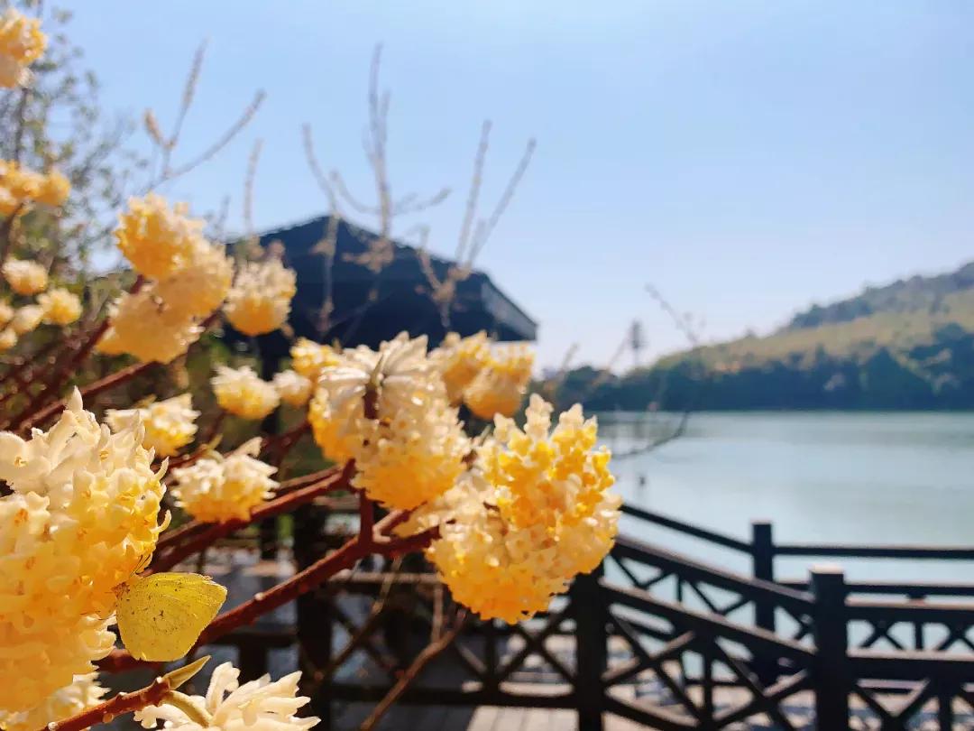 鑻忓窞澶у鏂囨瀛﹂櫌浠嬬粛,鑻忓窞澶у鏂囨瀛﹂櫌鍥剧墖