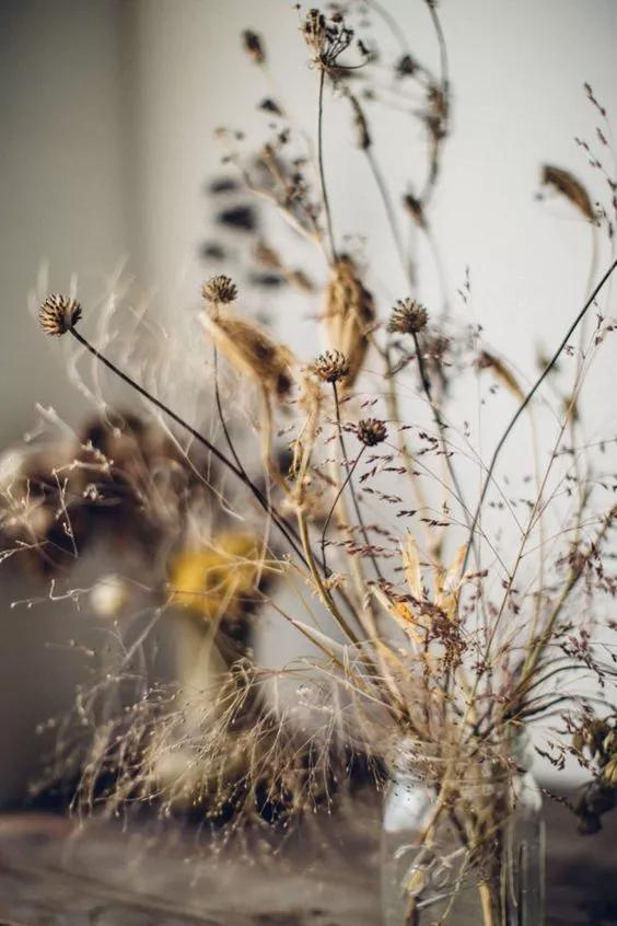 她用这种高颜值的干花装饰家里，隔壁邻居都惊叹不已