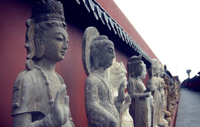 舍利子的科学解释,舍利子用科学角度看是什么东西