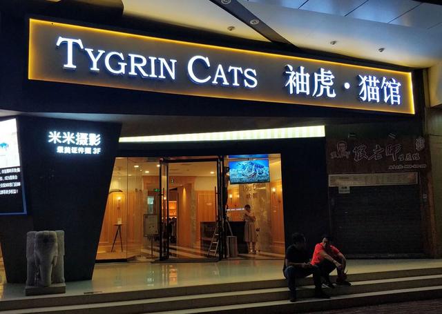 俩猫打架两败俱伤,家里两只猫老是打架怎么办