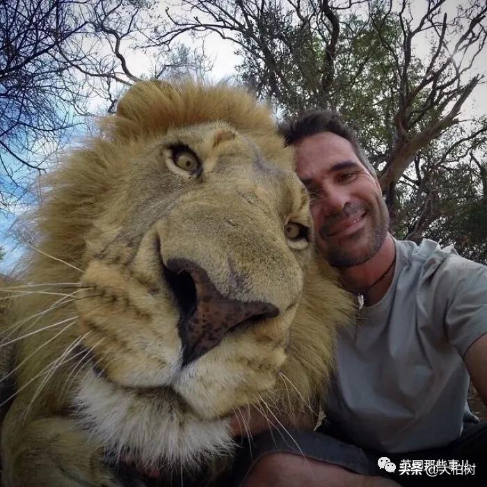 蓝鲸到底有多大,直观感受蓝鲸有多大