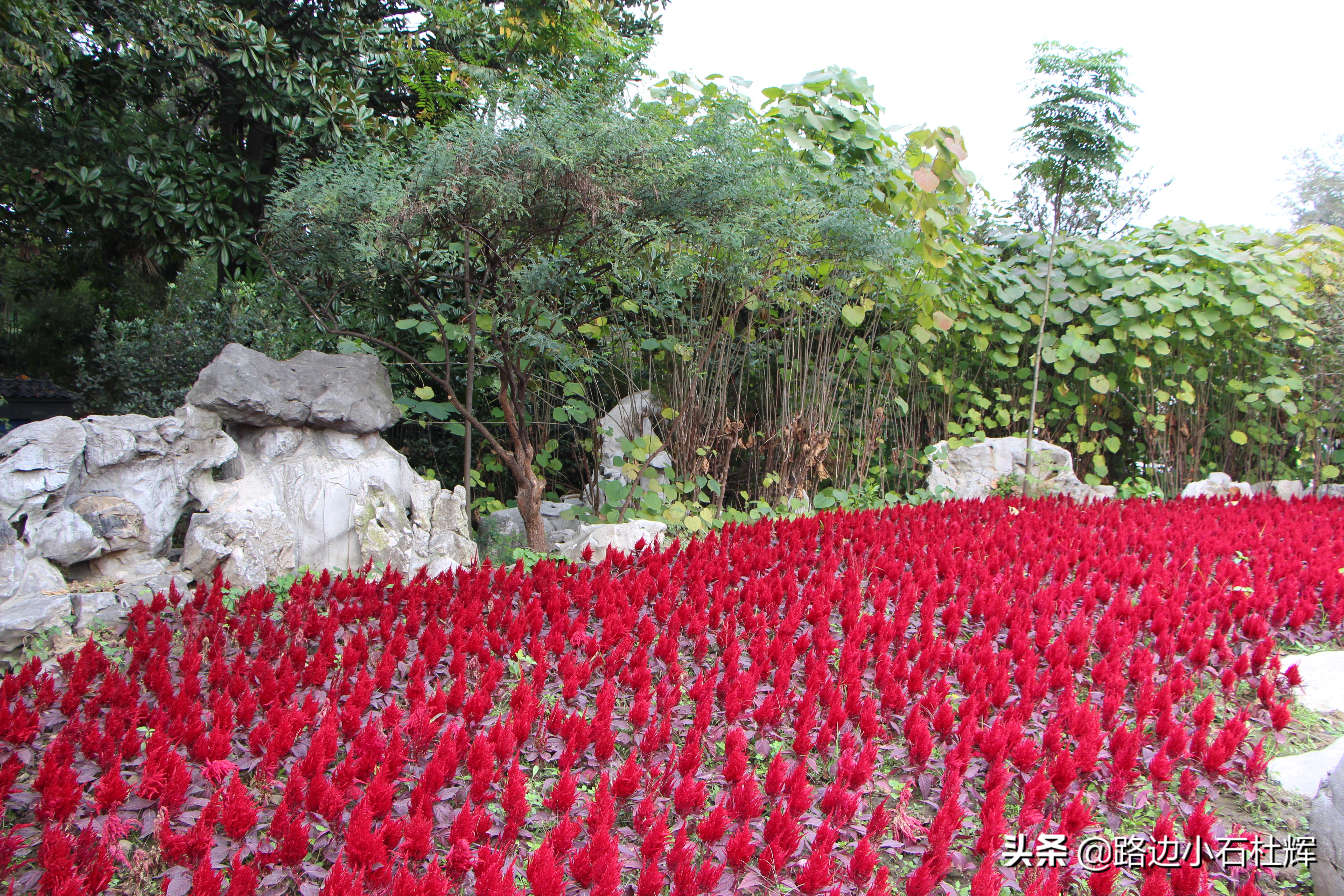 扬州瘦西湖之行,扬州瘦西湖游一圈
