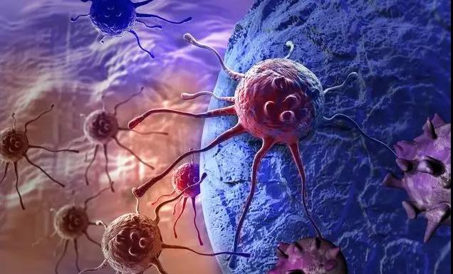 卵巢癌多次复发,还要维持化疗么?新型免疫治疗延续生的希望