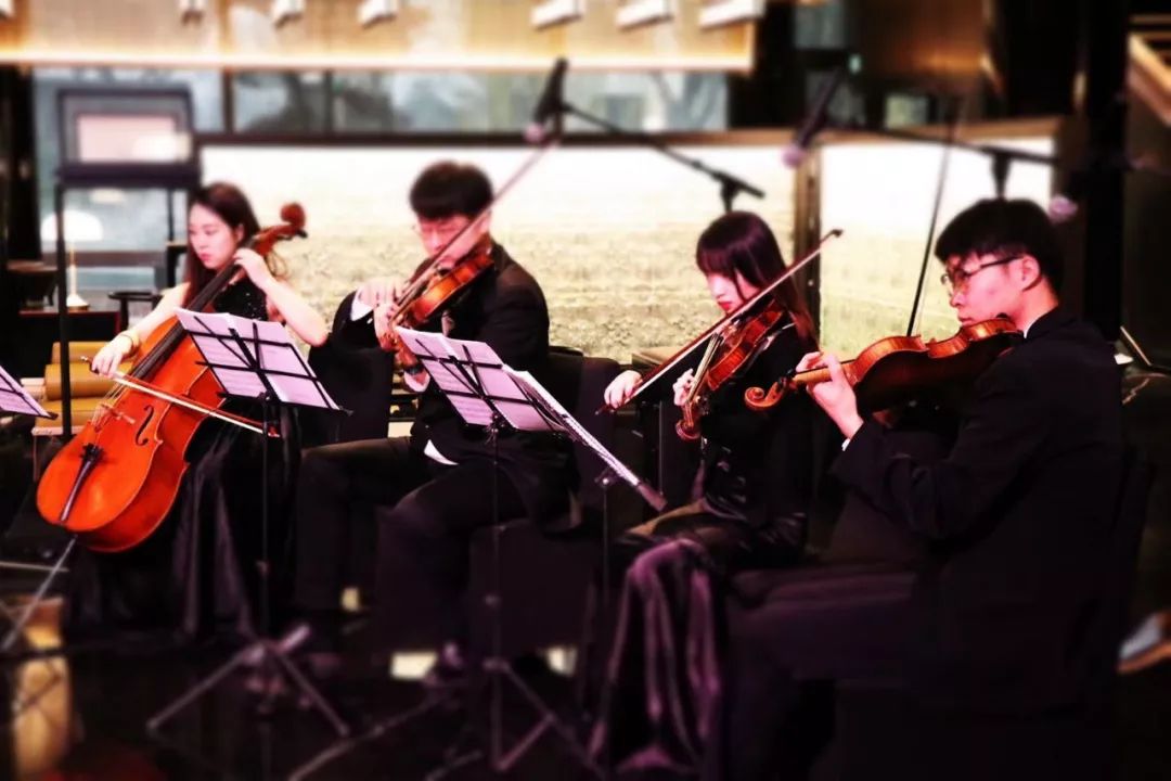 西安旅游入住唐华华邑酒店,西安唐华华邑酒店是几星级