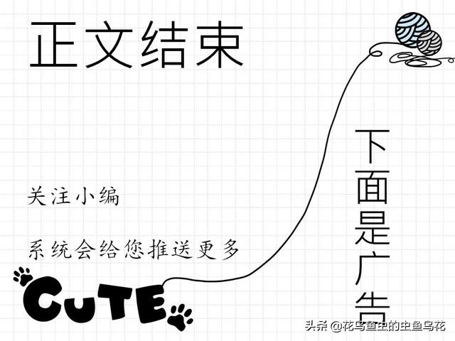 硝化细菌在污水处理的特性,黄山硝化细菌特性