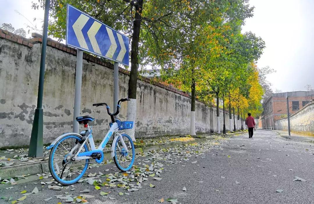都江堰天府绿道骑行路线图,都江堰周边最美骑行路线