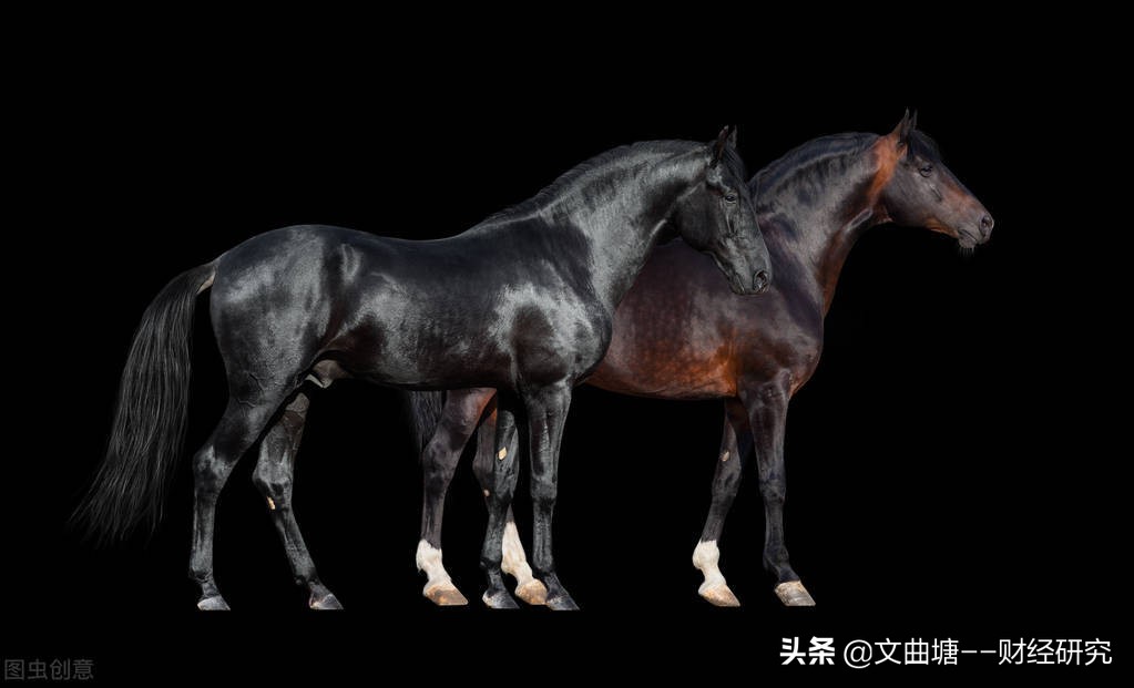 筹码峰选黑马股公式,如何选择潜力的黑马股