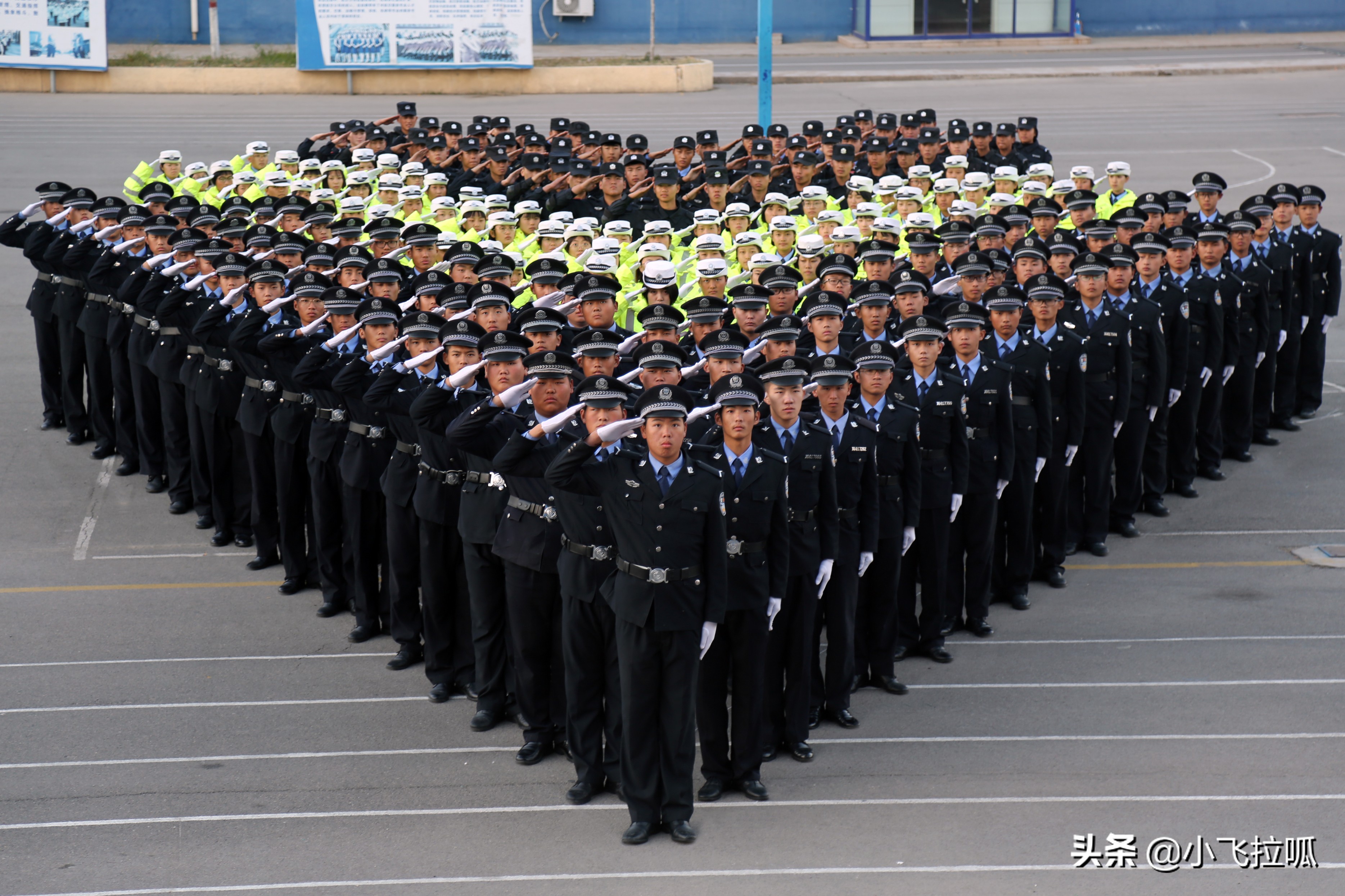 东营金盾司法警官学校,山东东营金盾司法警官学校怎么样