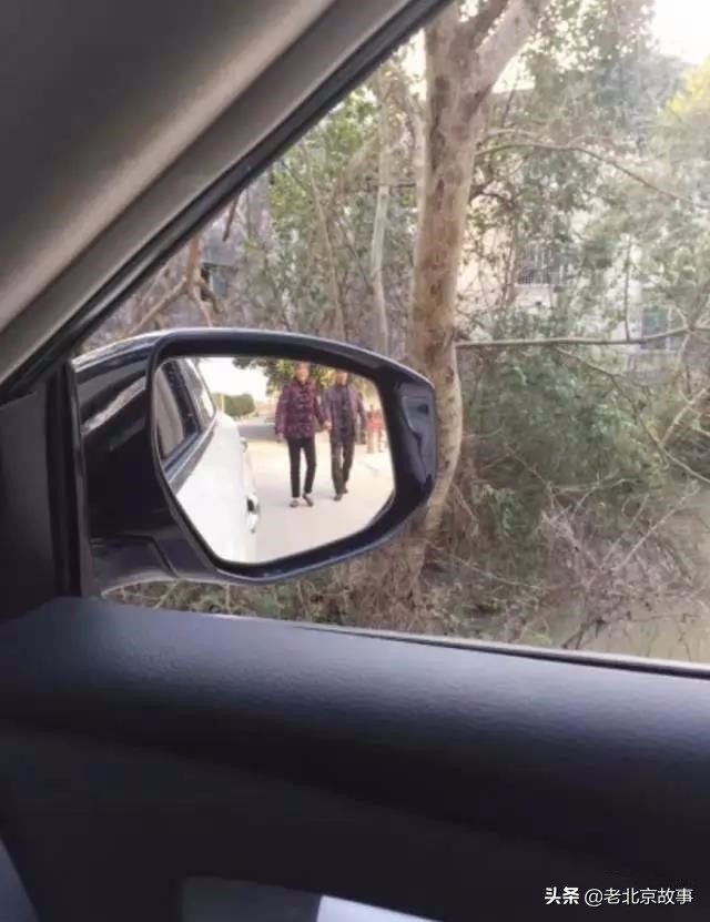 26张活久见的图片看完又涨知识了,42张照片大图