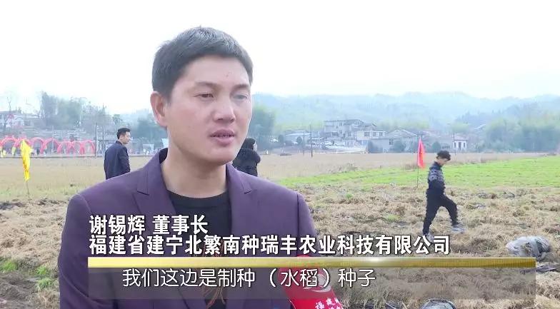 丰收土豆节,丰收节土豆