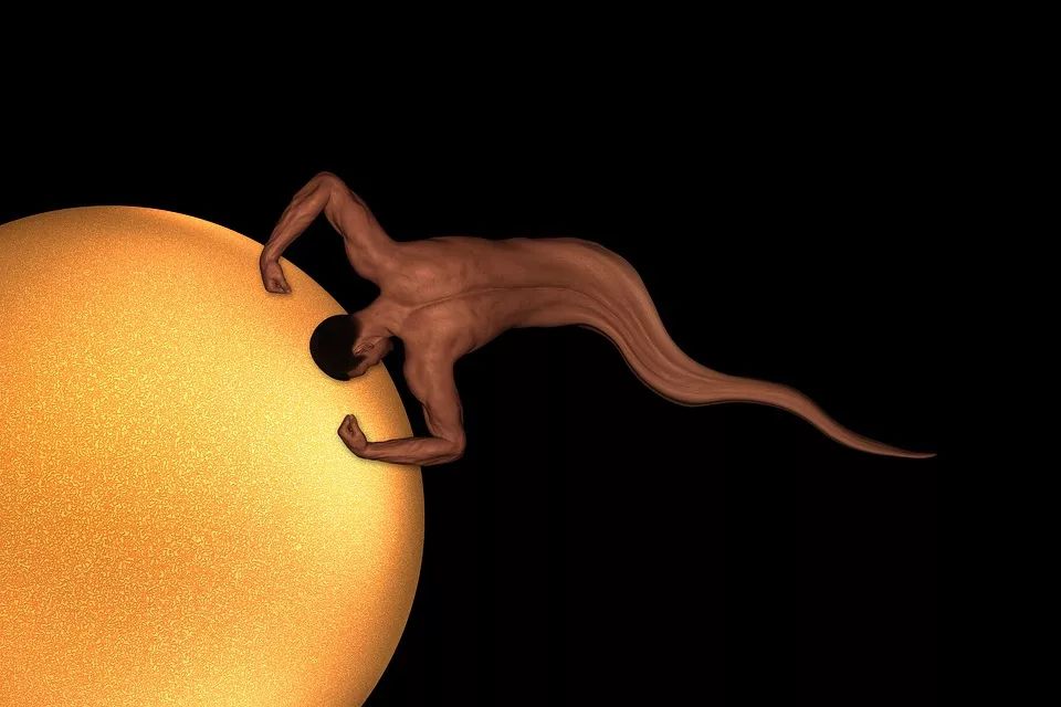 “这个主任看了一眼，我老婆就怀孕了？”