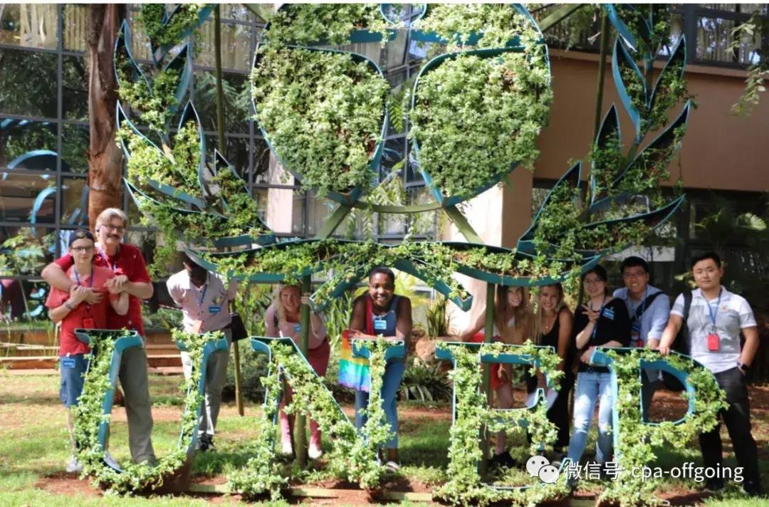 这个野奢的国度，欧美、日韩人都爱去，为何我们国家没人去？