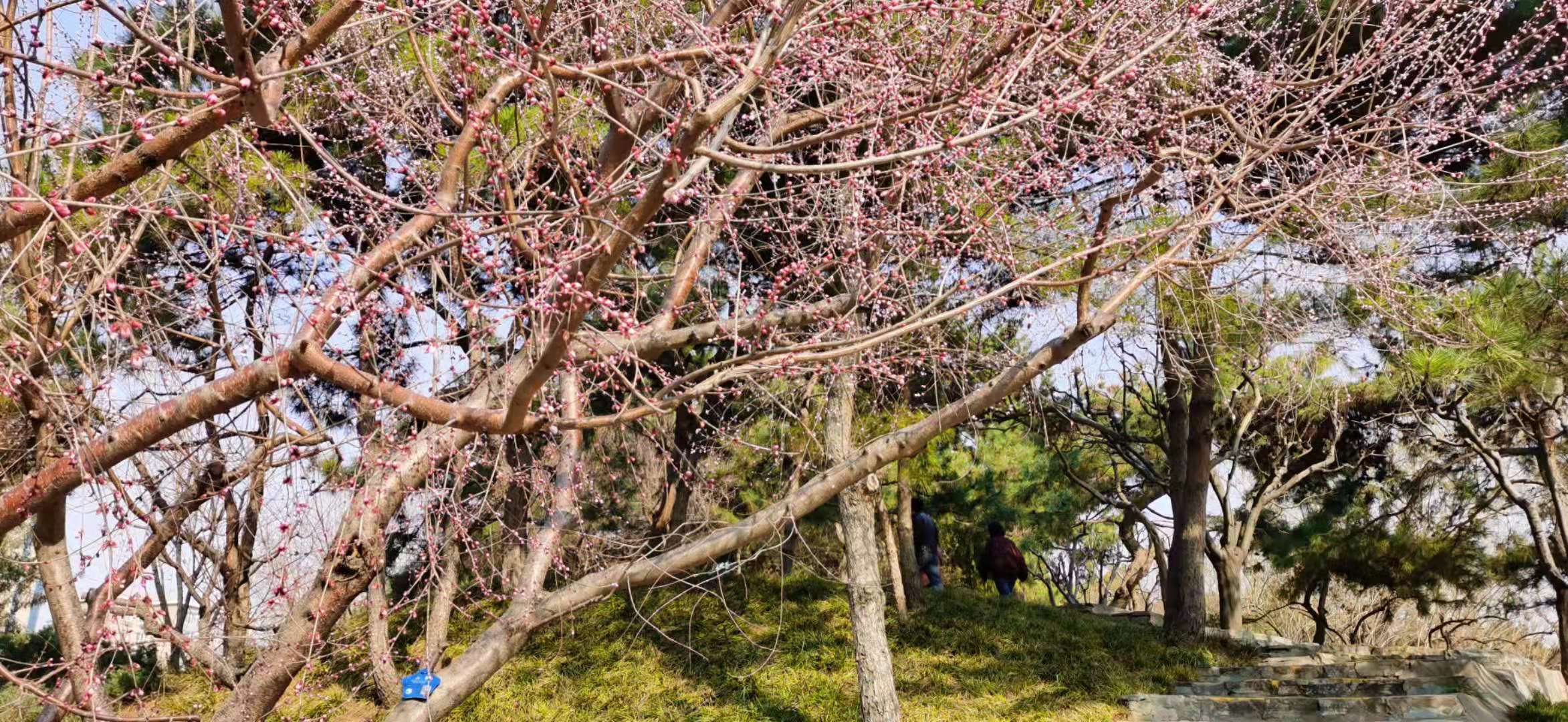 超高层玻璃幕墙重点和难点,幕墙有什么讲究和忌讳