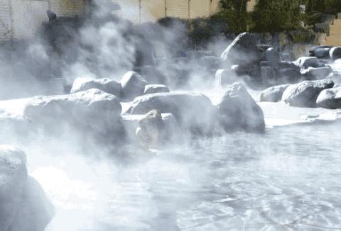 清远温泉排名前十名,清远真温泉私人室内温泉