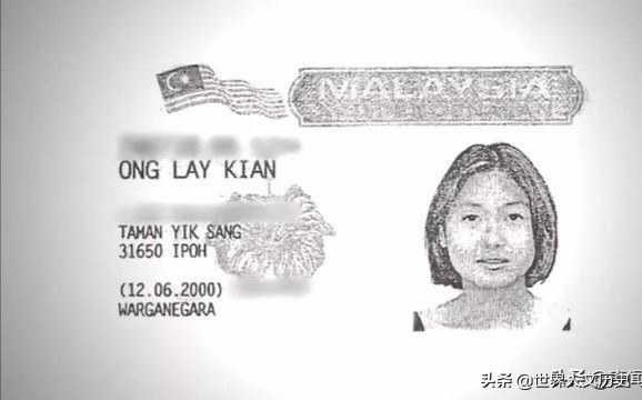 马来西亚女子失踪,马来西亚失踪案件