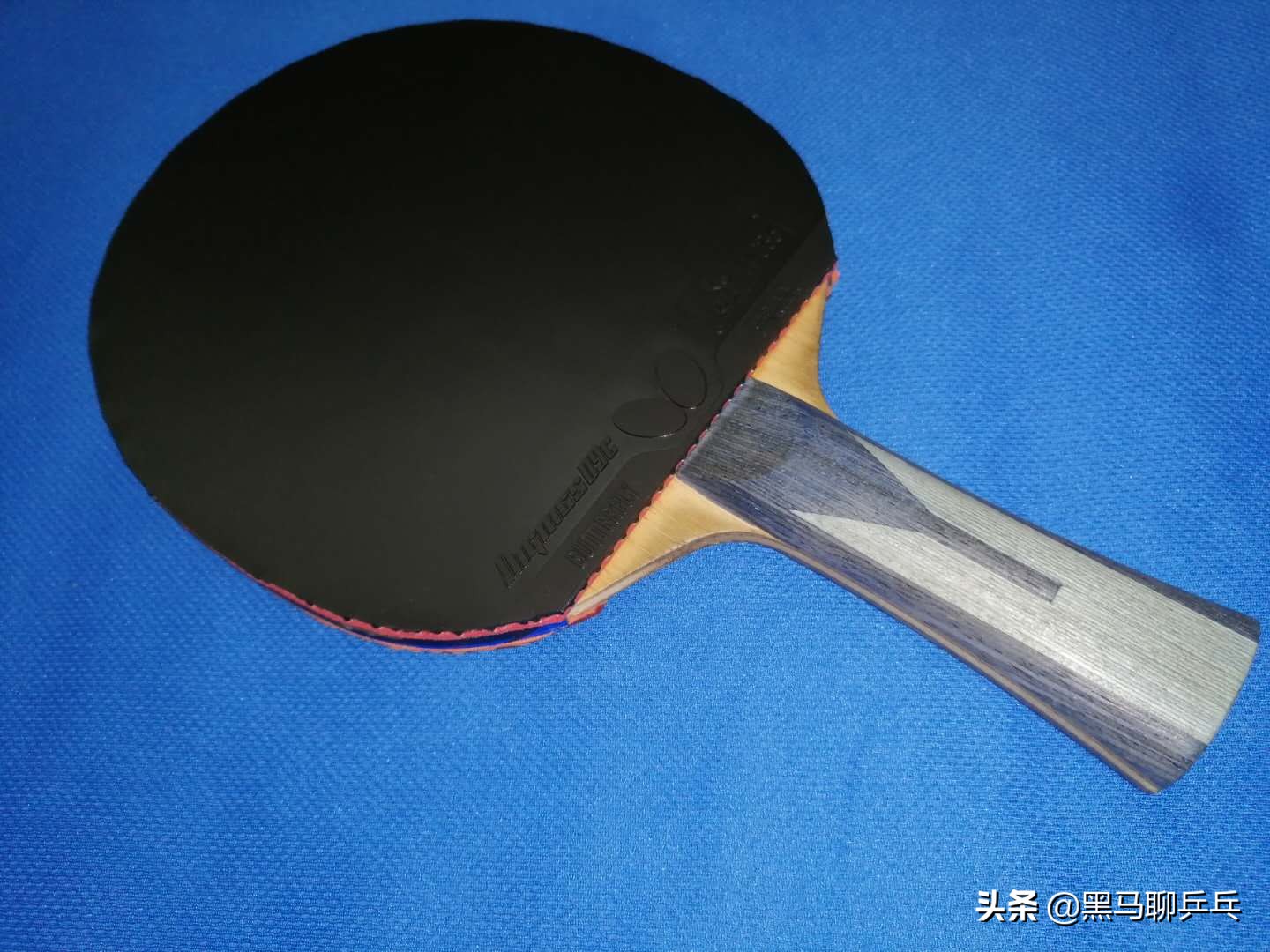 每周乒器观察 65：神板Fortino，不买吉村限量的理由