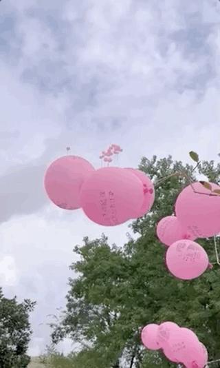 乔任梁冥诞完整视频,乔任梁冥诞生日