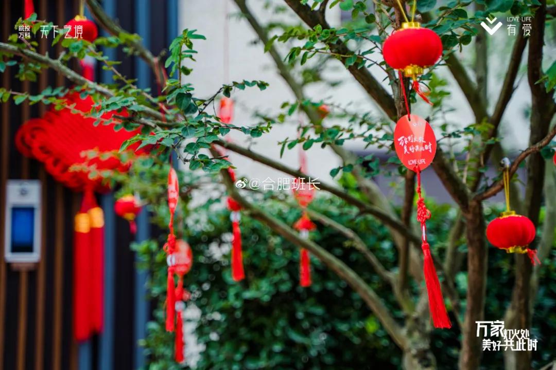 合肥滨湖荣盛华府交付质量,合肥滨湖荣盛集团开发楼盘