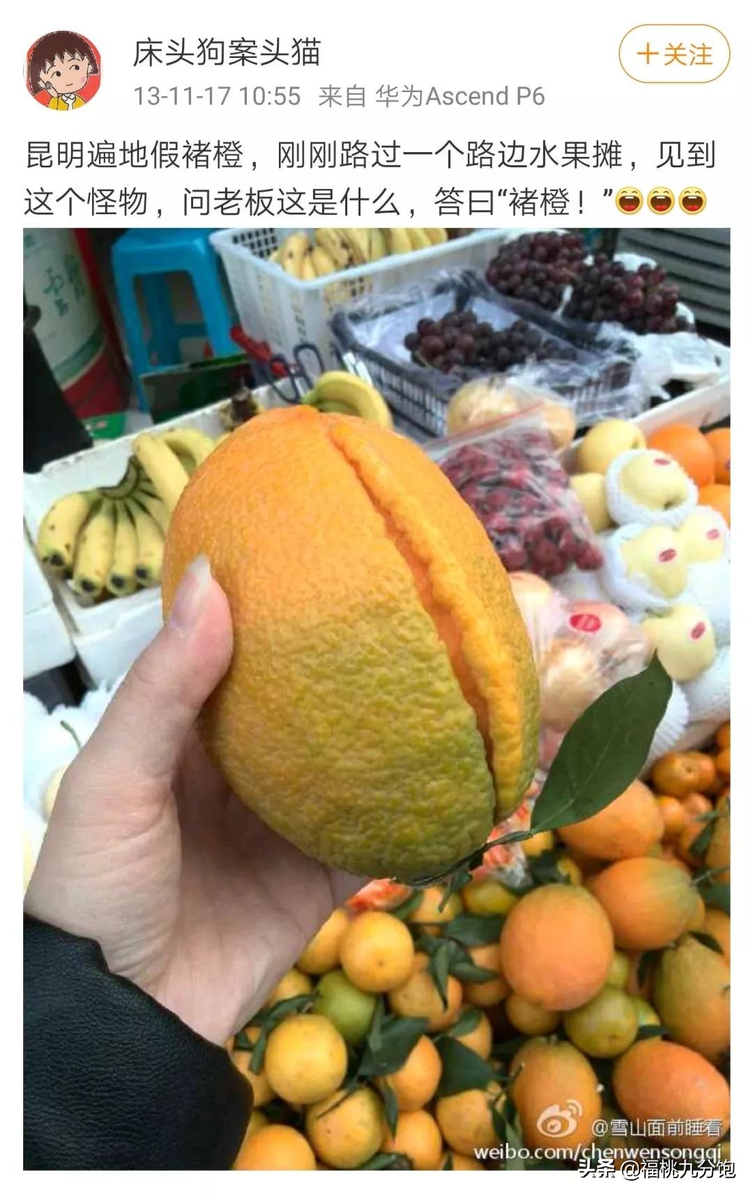 市场上卖的褚橙是真的吗,怎么区分真假褚橙2018