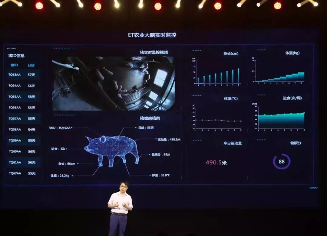 为什么大佬最后选择养猪,为什么大佬们都养猪