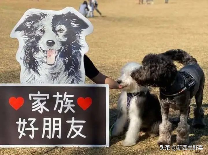 livinwild,livinwild澶滃鐚伯鍜嬫牱