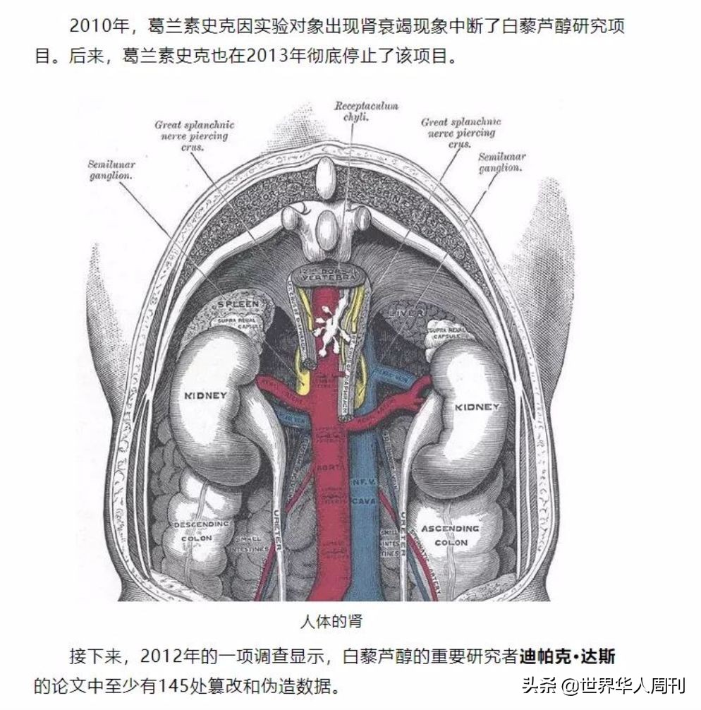 这家组织1.2万员工海外游的公司，背后竟藏着大*局骗**