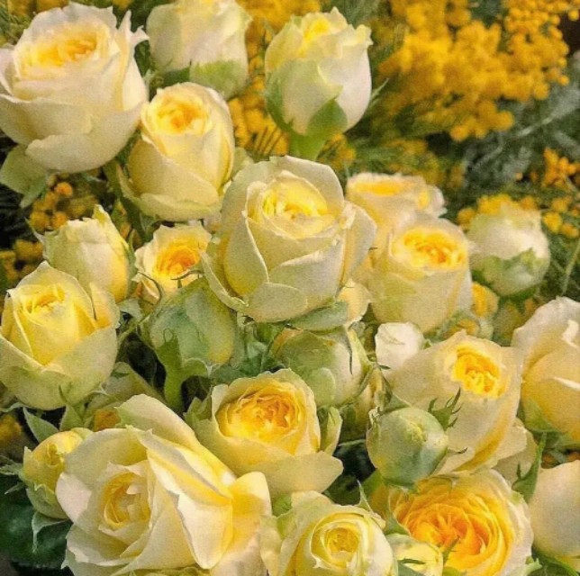 #情感诗文#原创《你若开心，我的爱便一如既往》