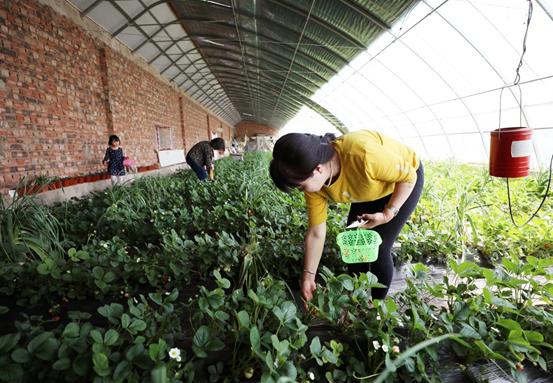 五一长假去哪里旅游推荐,五一小长假旅游指南