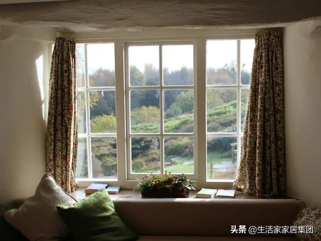 装修极简主义的室内植物搭配,家居植物现代风推荐