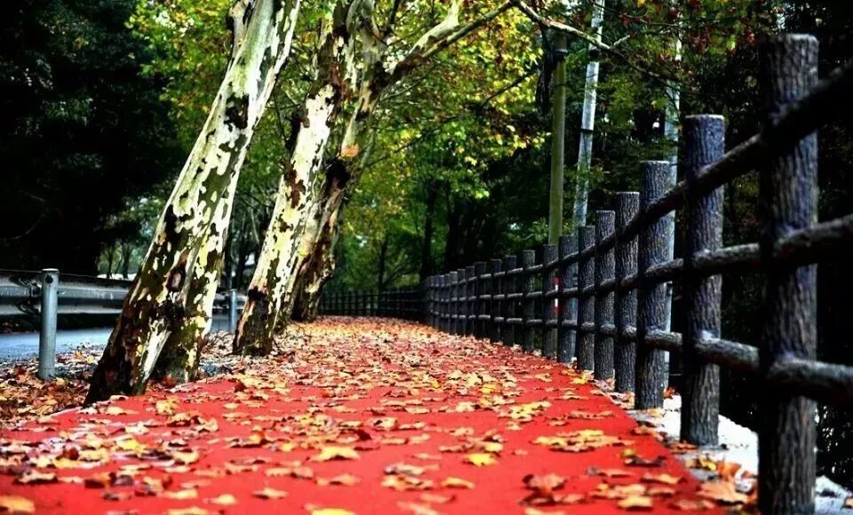 250公里！颜值爆表！杭州这条世界级景观长廊，最新进展抢鲜看