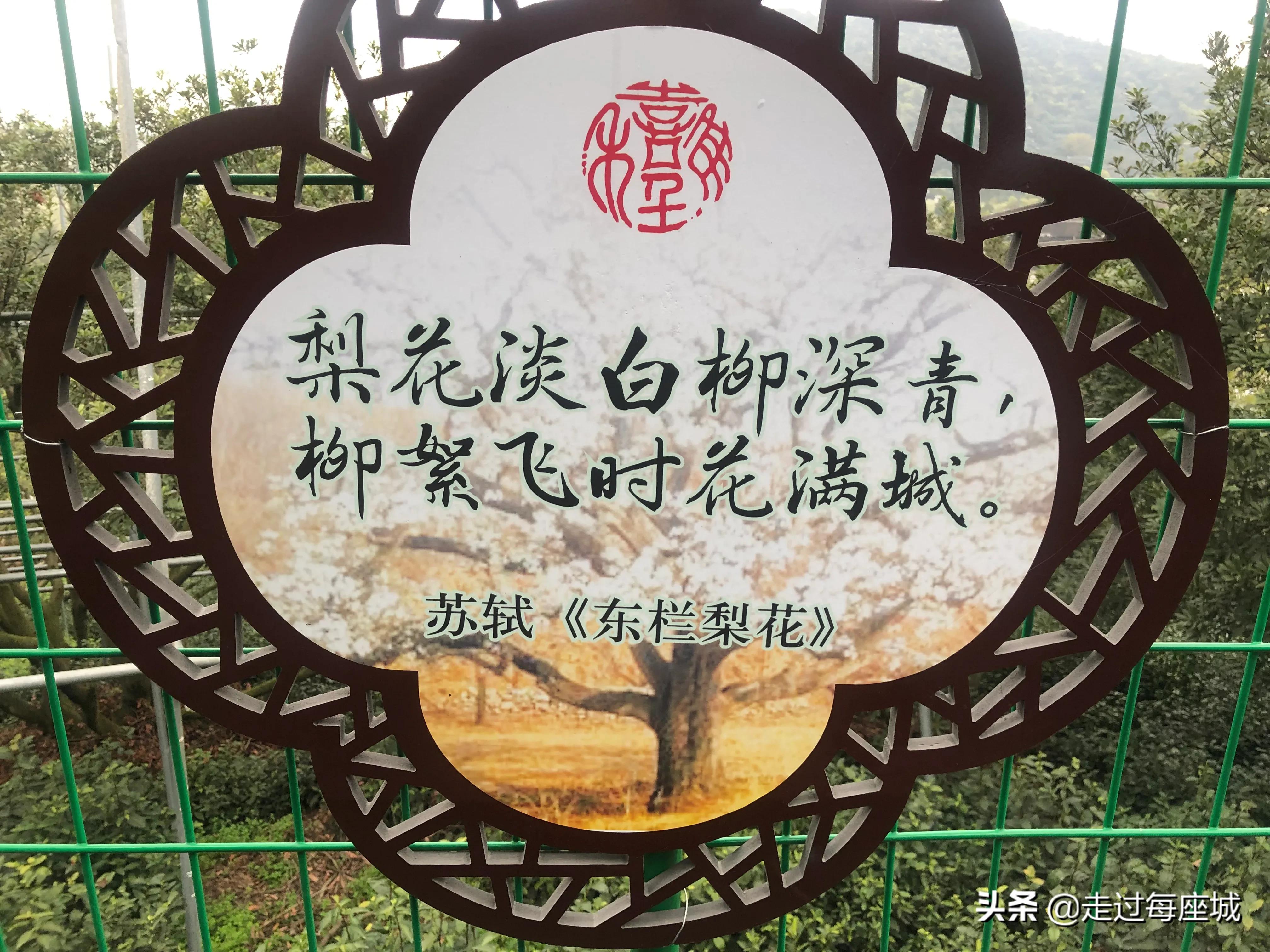 苏州小众却很棒的原生态的古镇,苏州必去的古村